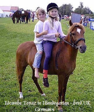 My beautiful picture